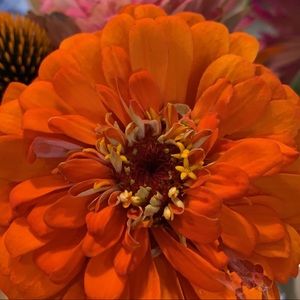 Meet your Posher, Tina